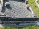 image of grave number 558090